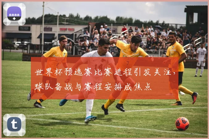 世界杯预选赛比赛进程引发关注,球队备战与赛程安排成焦点