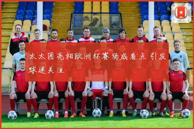 太太团亮相欧洲杯赛场成看点 引发球迷关注