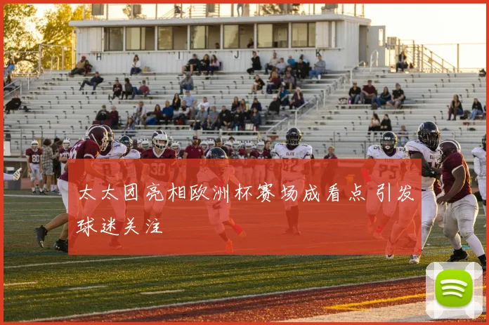太太团亮相欧洲杯赛场成看点 引发球迷关注
