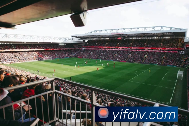 App Interface Preview